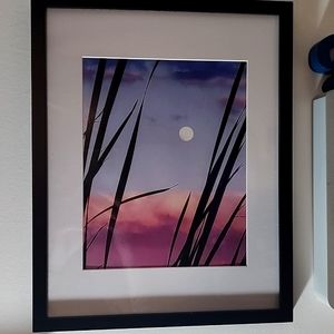 Framed photography 11×16